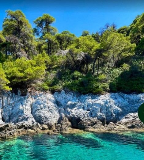 Pine-covered cliffs sheltering a calm cove